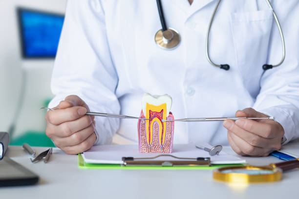 Best Emergency Root Canal Treatment in Muldrow, OK